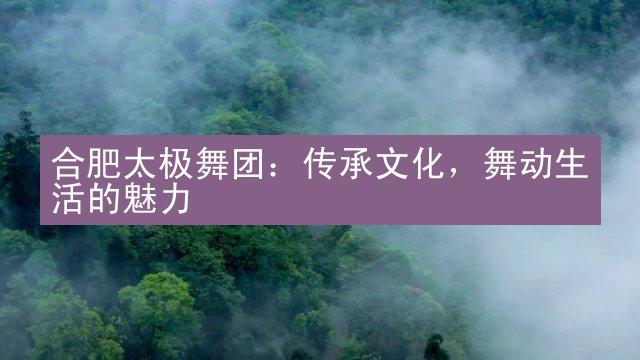 合肥太极舞团：传承文化，舞动生活的魅力